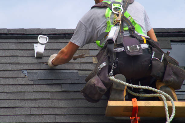 Best Gutter Installation and Roofing  in De Soto, IL