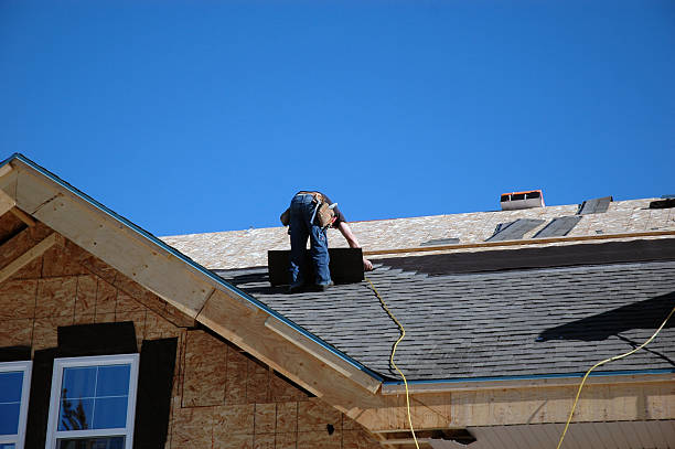 Gutter Installation and Roofing in De Soto, IL