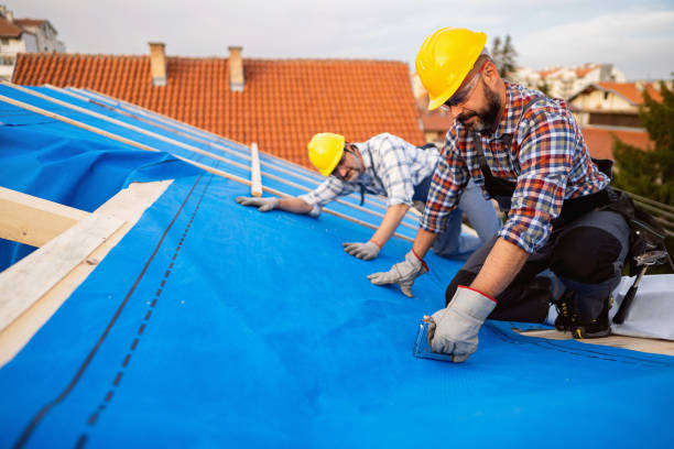 Best Metal Roofing Contractor  in De Soto, IL