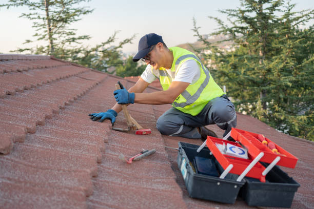Best Roof Inspection Near Me  in De Soto, IL