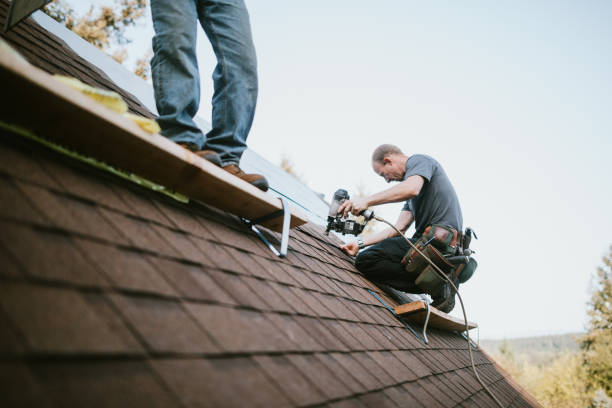 Professional Roofing Contractor in De Soto, IL